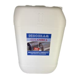 25 L