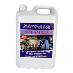 5 L