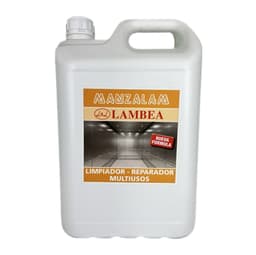 5 L